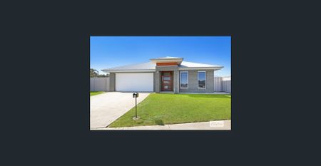 Brand-new Afonso build! - Photo 4