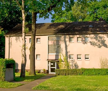 3.5-Zimmer-Wohnung mit Balkon in Gelsenkirchen-Resser Mark mieten - Photo 6