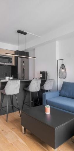 3 ½ entièrement meublé à louer Saint-Jean-Baptiste avril 2026 - Photo 1