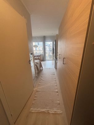 Brunnshögsgatan, Lund - Foto 1