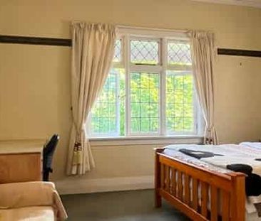 Fully Furnished Studio Room Available Now - Photo 3