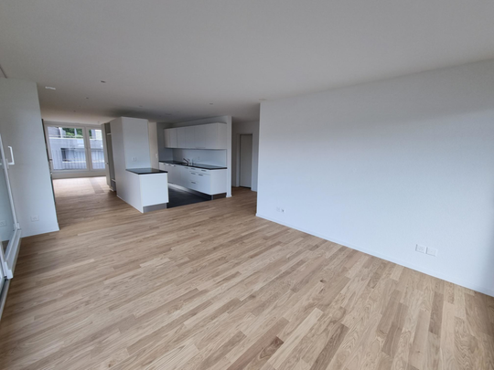 Moderne 3.5 Zimmer-Attikawohnung mit Aussicht - Photo 1