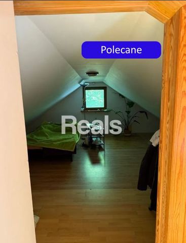 Pruszkowski, Michałowice, Pęcice, Piachy - Photo 3