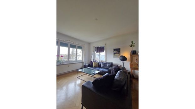 3½ Zimmer-Wohnung in Murten (FR), möbliert, auf Zeit - Photo 1