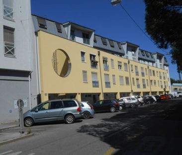 CITY PARK sonnige, sanierte 2ZI mit Allgemeingarten - Photo 5