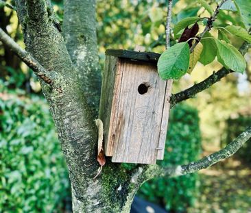Charmante woning op een ideale ligging in Steendorp - Foto 2
