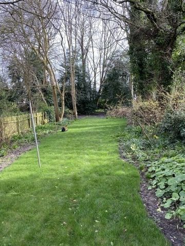 2 Bed Flat, Sunnyside, L8 - Photo 4