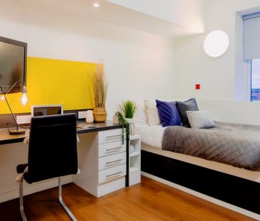 Bronze Studio - Photo 3