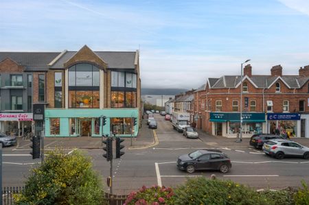 1A Cranmore Park, BELFAST, BT9 6JF - Photo 3