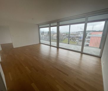 MODERN WOHNUNG AN FAMILIENFREUNDLICHER LAGE IN HUNZENSCHWIL - Photo 1