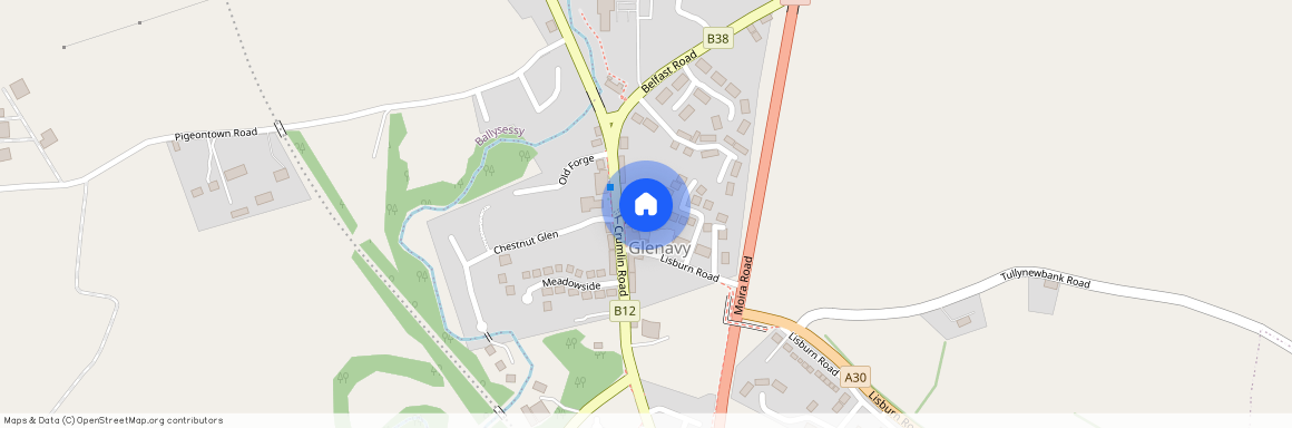 8 Mill Mews, Glenavy, BT29 4WB