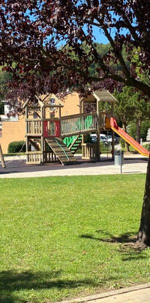 Magnifique appartement de 2 pièces rénové avec terrasse! - Foto 2