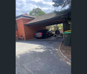 Newly renovated open plan living - Photo 4