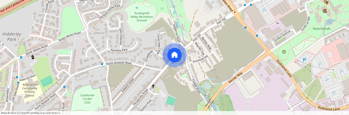 Pendarves Street, Tuckingmill