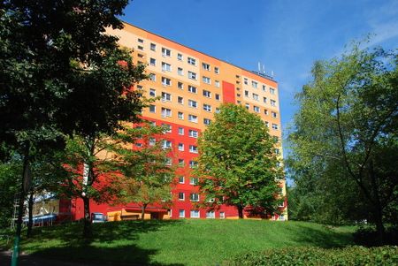 Geräumige 2-Raum-Wohnung mit Balkon - Foto 3