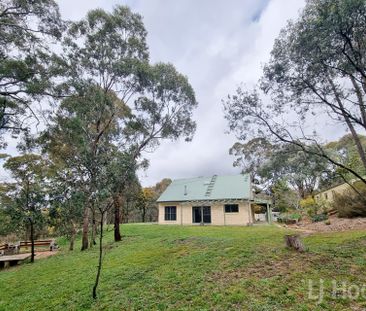 554A Captains Flat Road, Carwoola NSW 2620 - House For Rent | Domain - Photo 6