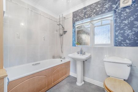 Tulip Fields - Photo 5