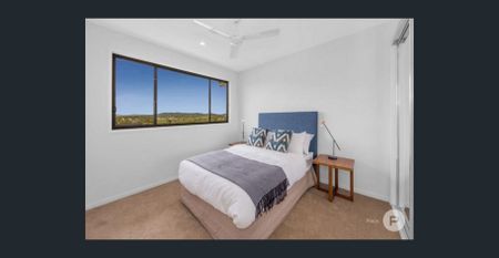 Modern Living in Annerley - Photo 2