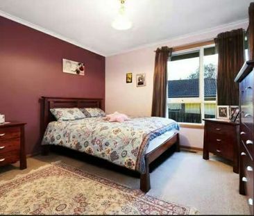 Comfortable Family Living in a Quiet Mooroolbark Location - Photo 3