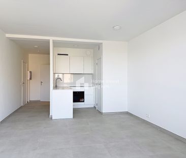 Live with the Owner - Studio Apartment - Photo 2