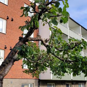 Skolvägen 15 - Foto 2