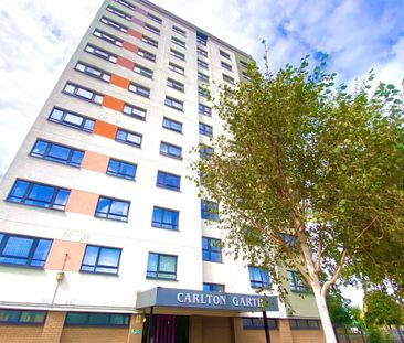 Carlton Garth - Photo 6