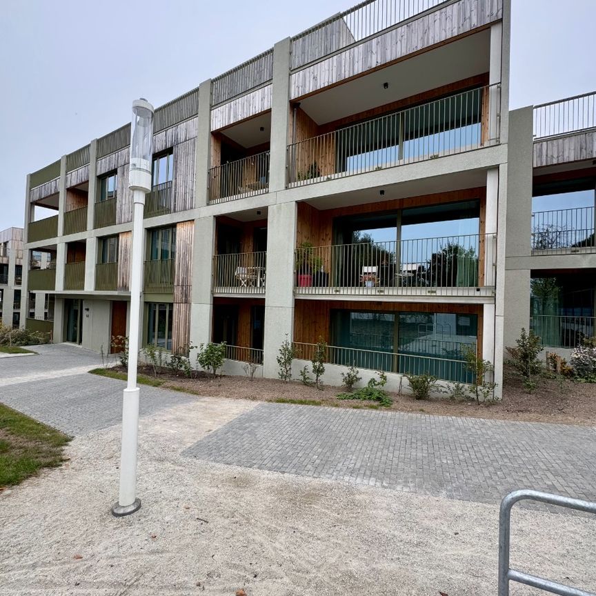 Lichtrijk en energiezuinig appartement met terras - Photo 1