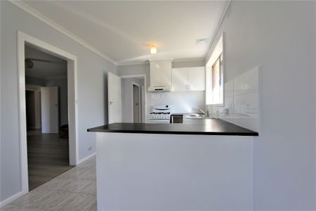 Newly Renovated - Photo 5