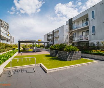 62/1 Surprize Place, Phillip ACT 2606 - Apartment For Rent | Domain - Photo 4