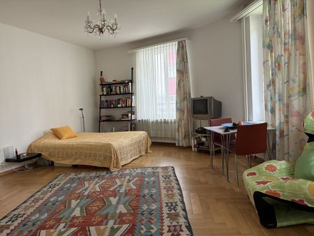 51/2-ROOM APARTMENT IN BERN, FURNISHED - Photo 3