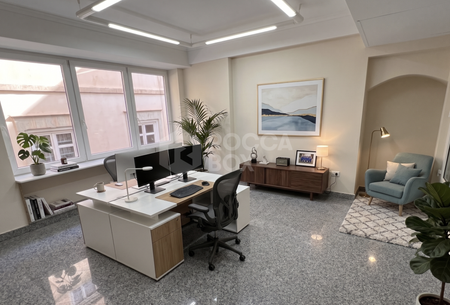 Office to Rent in Marqués de Larios Street, Malaga City Center - Photo 5