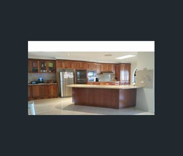 Spacious Family Home in Prime Rooty Hill Location!! - Photo 5