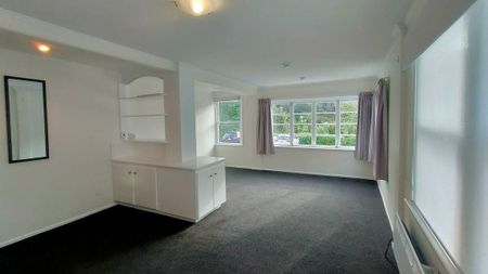Sunny Central WGTN 2BR Apt - Photo 3