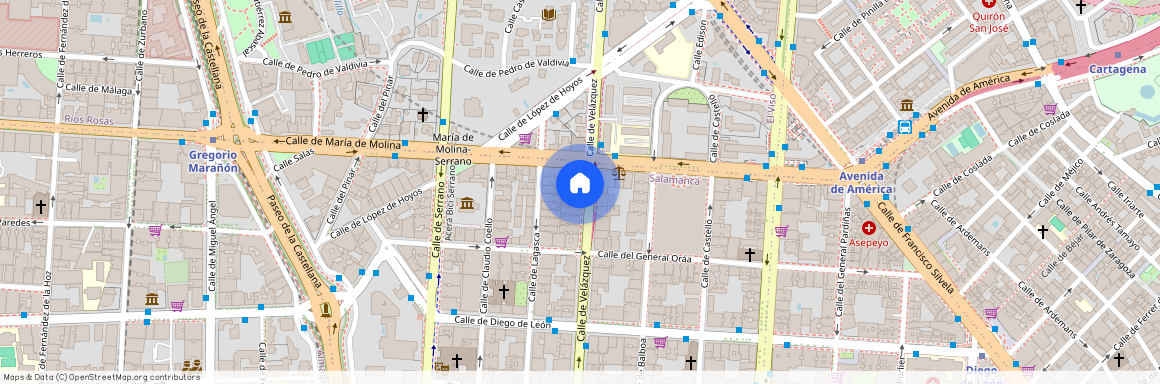 Calle Velazquez 119. 28006 MADRID, Salamanca