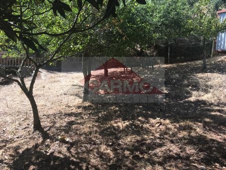 Moradia T5 em Santarém - Photo 3