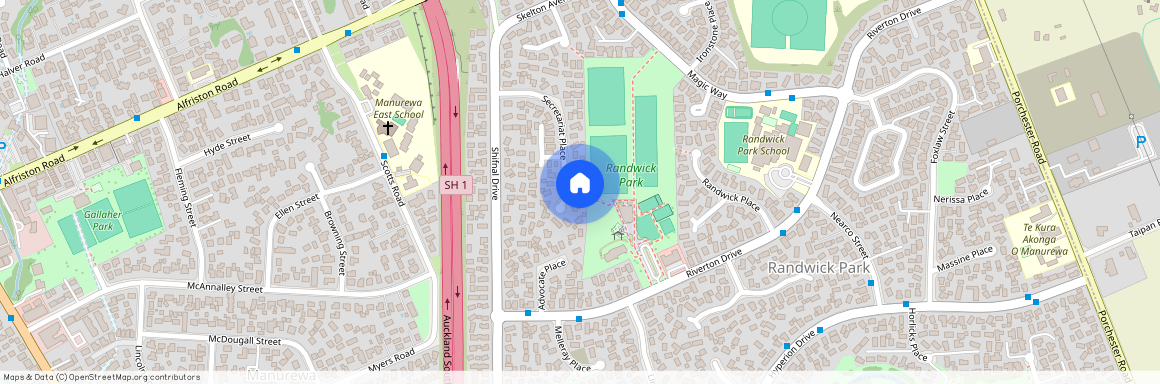 40A Secretariat Place, Randwick Park, Manukau City