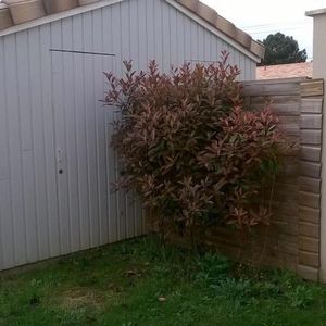 Location Maison 3 pièces 74m² VAYRES 33870 - Photo 2