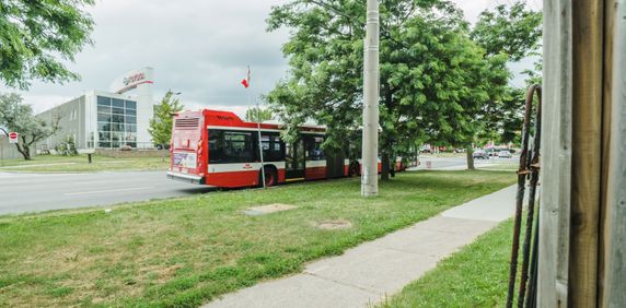 For Lease - 103 Spring Forest Square Unit# BSMT, Toronto, Ontario - Photo 2