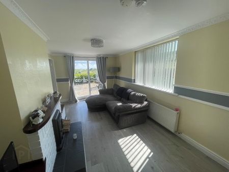 112 Drumnaquoile Road, Ballynahinch, BT24 8QS - Photo 2