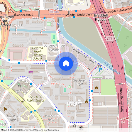 227 Lorong 8 Toa Payoh (310227), Singapore