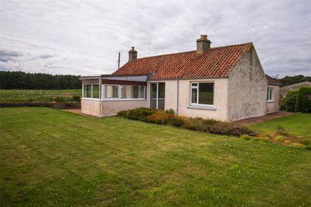 2 bedroom bungalow to rent - Photo 2