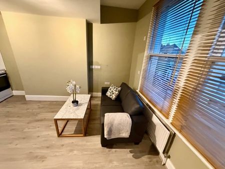 Studio Flat, Lena Gardens, W6 - Photo 4