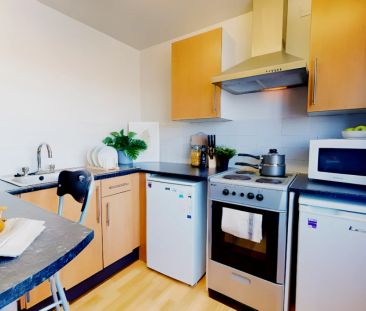 Bronze Studio Premium - Photo 2