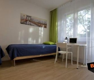 Pokój, ul. 1 Sierpnia - Photo 4