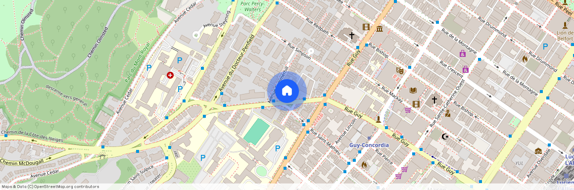 3465 Chemin de la Côtes-des-Neiges, #101, Centre-Ville, Montréal