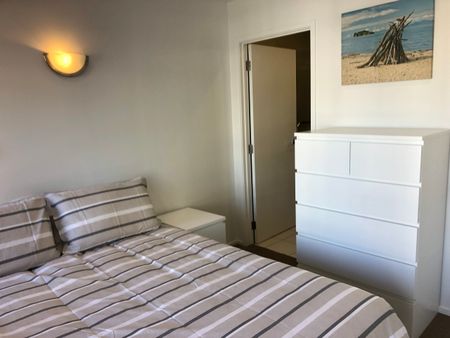 17 Vogel Lane – 2 - Photo 5