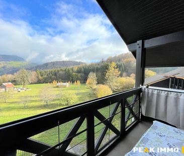 Location Appartement 1 pièce 18m² ONNION 74490 - Photo 4