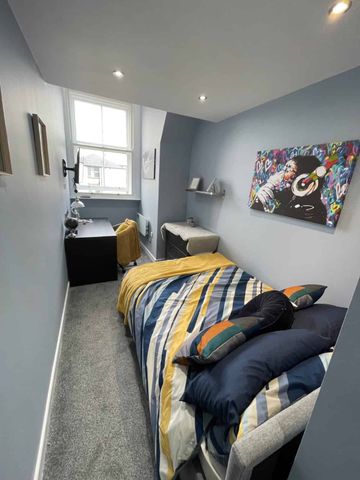 Superior Studio Flat - Photo 4
