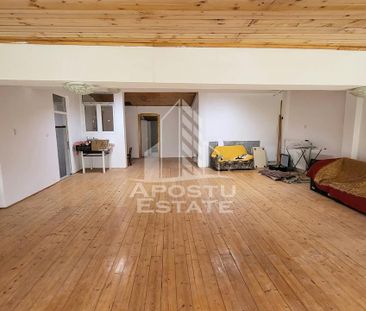 Casa ideala pentru birouri/alte activitati Mehala - Photo 3