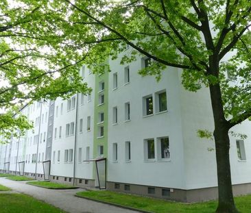 Moderne 2-Raumwohnung im Grünen - Photo 3